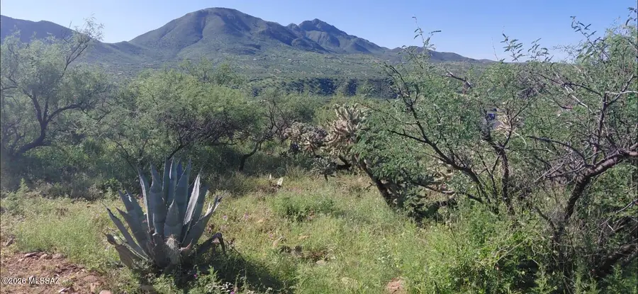 1891 Roma, Rio Rico, AZ 85648 - #3
