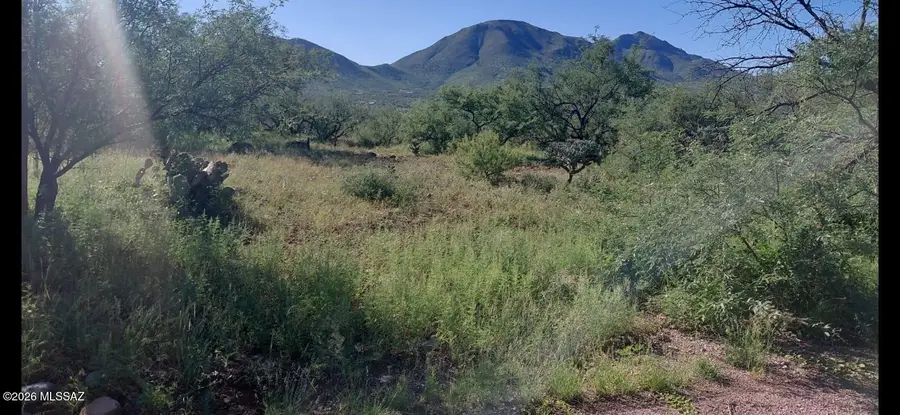 1889 Roma, Rio Rico, AZ 85648 - #3