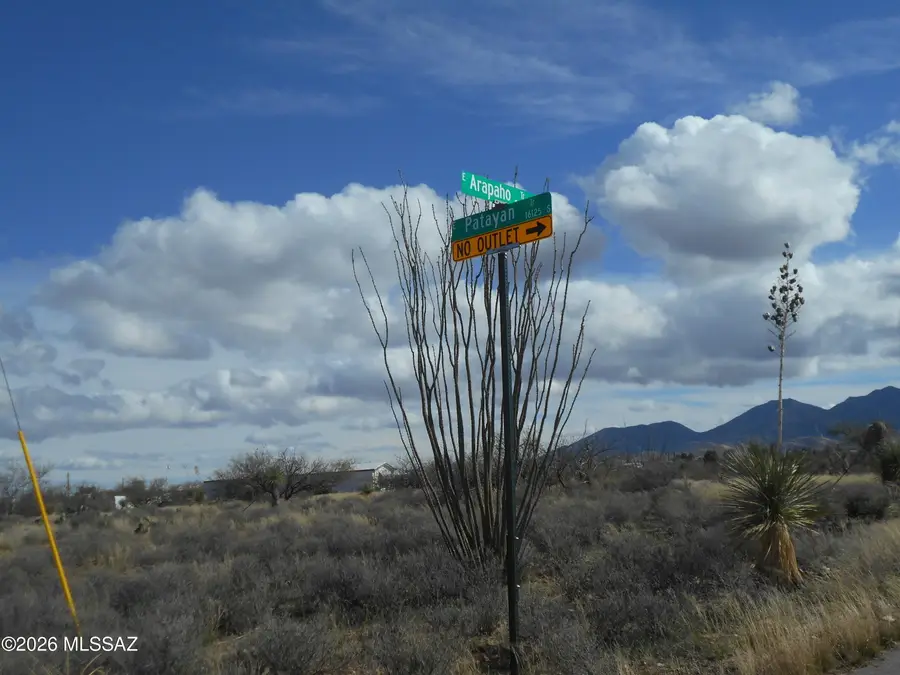 25145 E Arapaho, Benson, AZ 85602 - #2