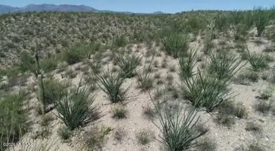 Hwy 77, San Manuel, AZ 85631
