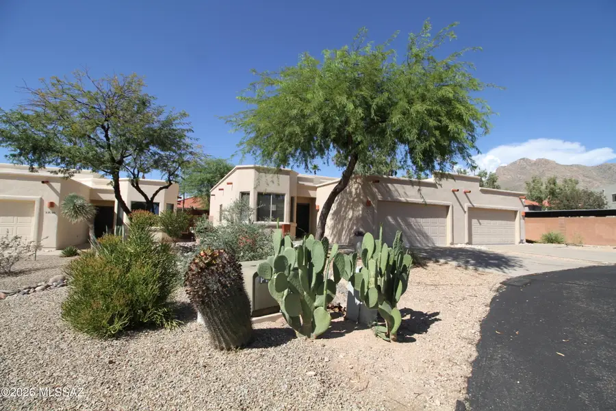 8174 N Peppersauce, Oro Valley, AZ 85704 - #2