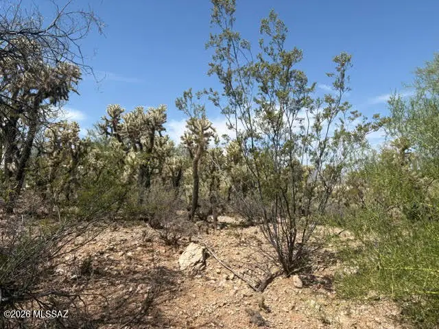 3951 W Placita De Castellon, Tucson, AZ 85745 - #2
