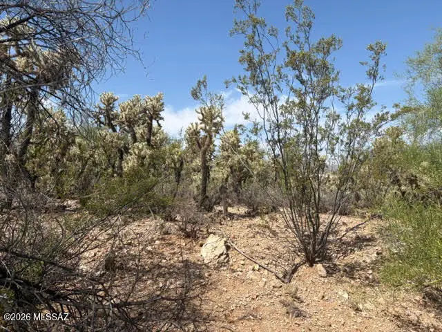3951 W Placita De Castellon, Tucson, AZ 85745 - #3