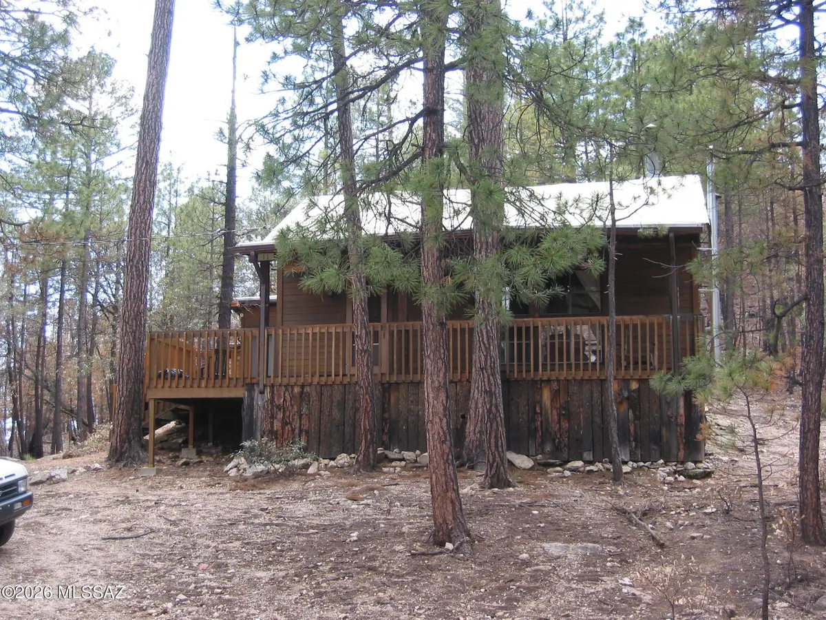 9811 N Willow Canyon, Mount Lemmon, AZ 85619 - #1