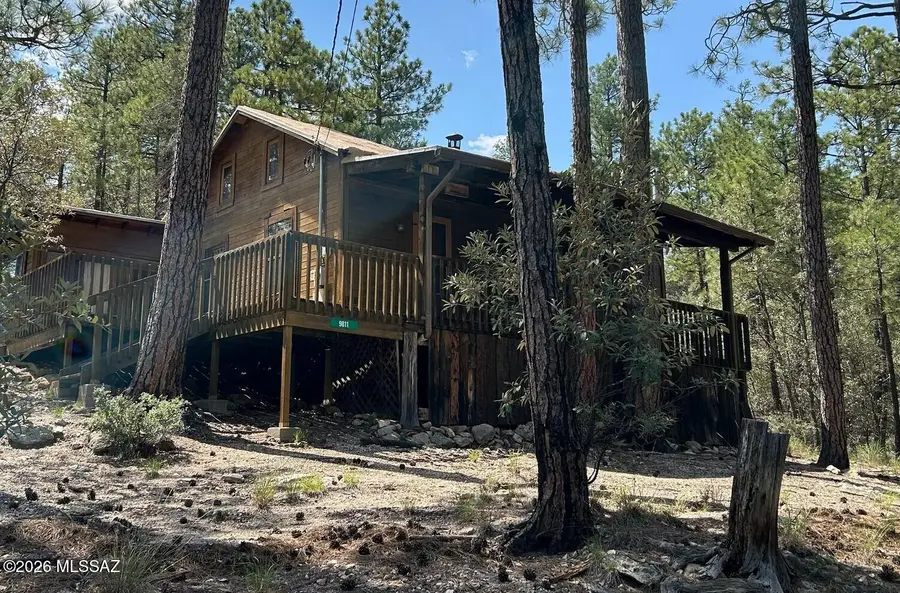 9811 N Willow Canyon, Mount Lemmon, AZ 85619 - #2