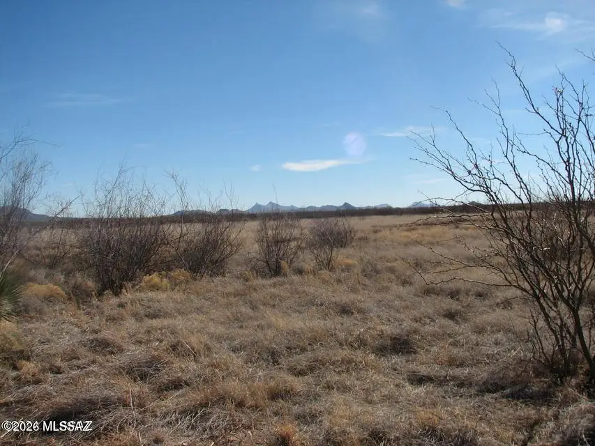 40.44 Ac N Ee Ranch, Mc Neal, AZ 85617 - #1