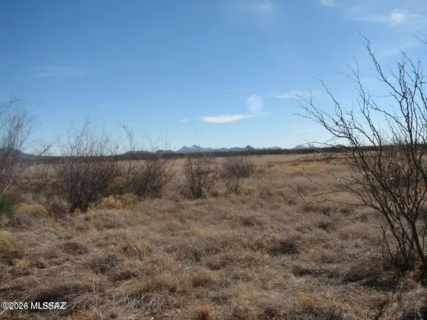 40.44 Ac N Ee Ranch, Mc Neal, AZ 85617