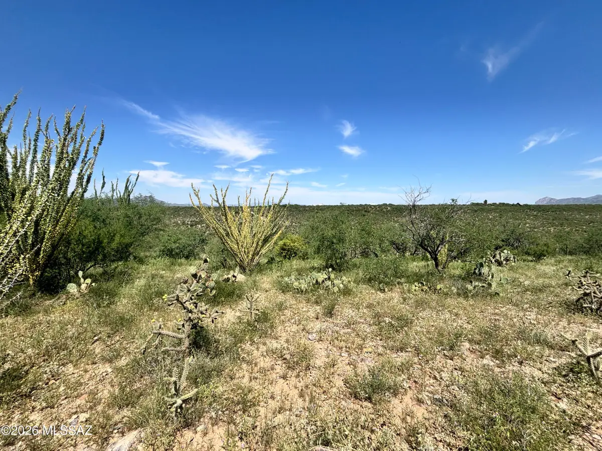 268 Camino Josefina, Rio Rico, AZ 85648 - #1