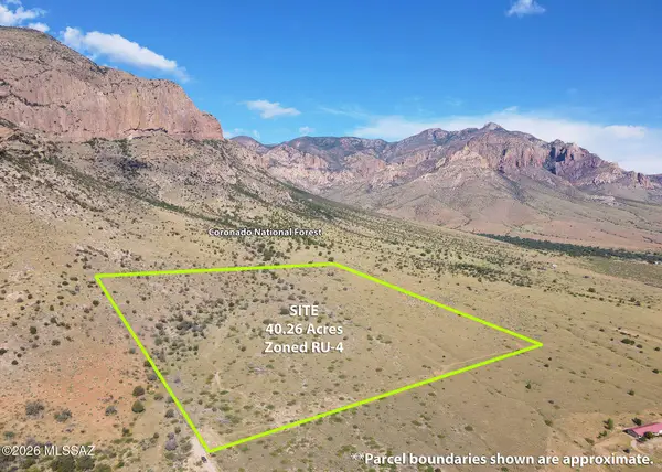 40.26 Acre W Mills, Portal, AZ 85632