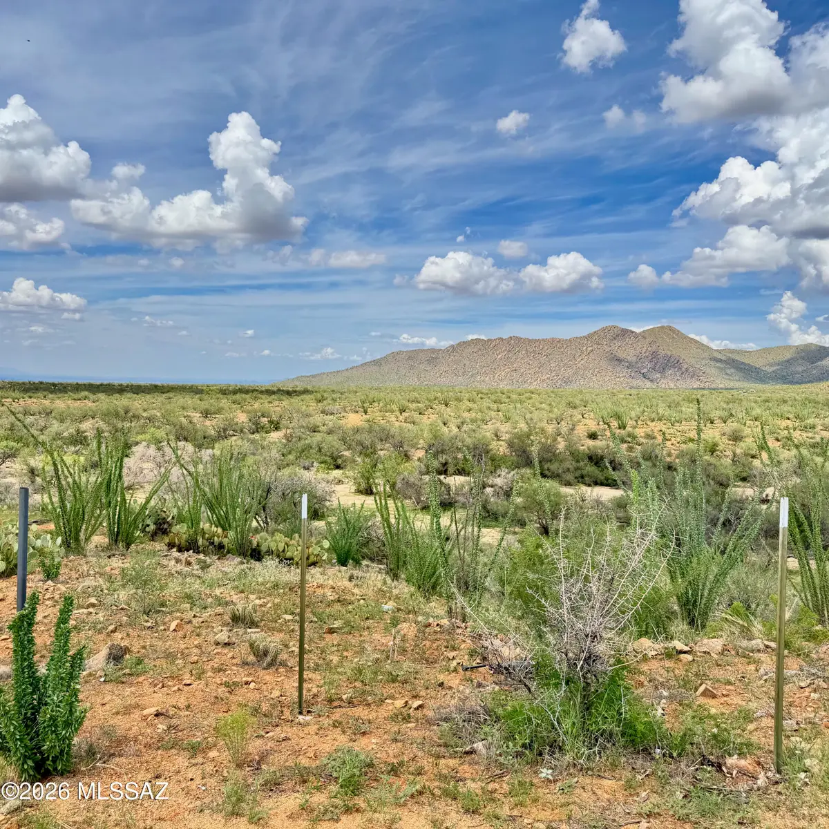 17051 S Sierrita Mountain, Tucson, AZ 85736 - #1
