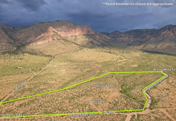 36 Acres E Sulphur Canyon, Portal, AZ 85632