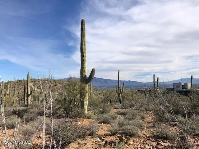 TBD N Broken Springs, Tucson, AZ 85745 - #2