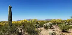 21817 S Escrito, Tucson, AZ 85739 - #1