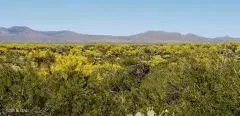 21817 S Escrito, Tucson, AZ 85739 - #3
