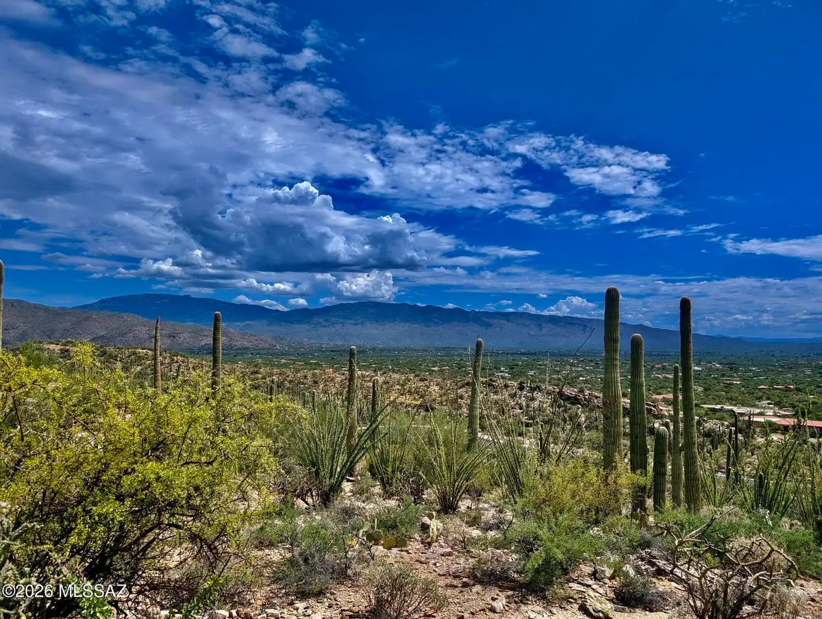 10731 E Gibbon Canyon, Tucson, AZ 85749 - #1