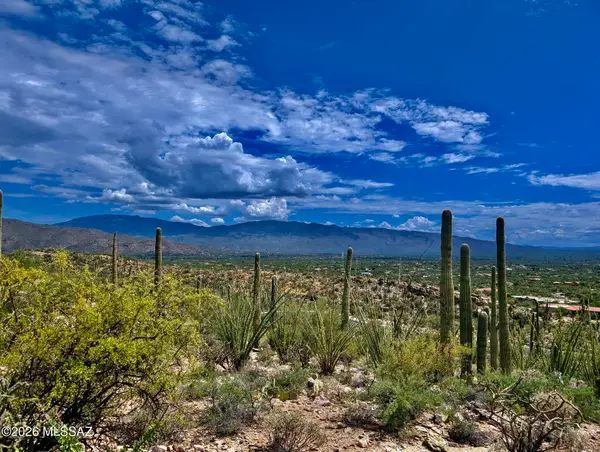 10731 E Gibbon Canyon, Tucson, AZ 85749