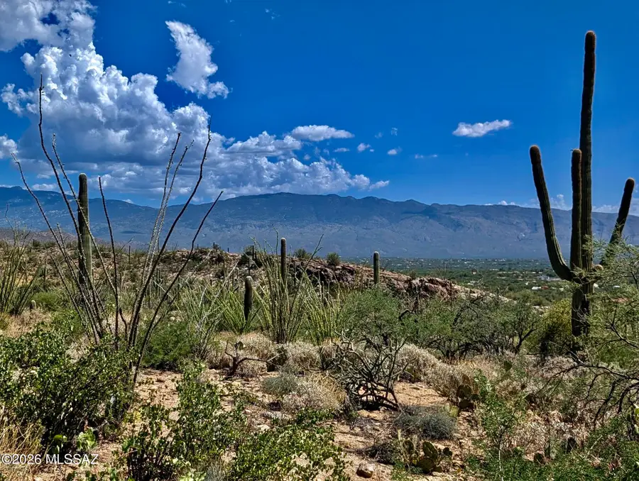 10731 E Gibbon Canyon, Tucson, AZ 85749 - #2