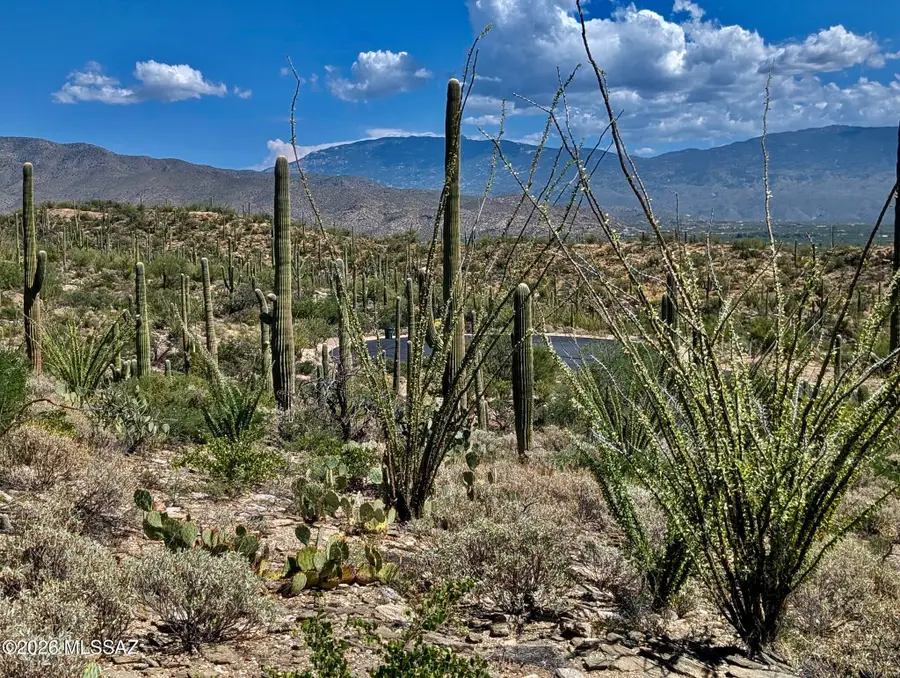 10731 E Gibbon Canyon, Tucson, AZ 85749 - #3