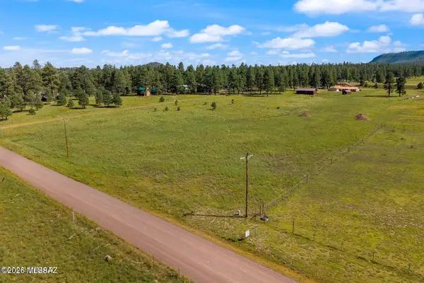 18 County Road 2092, Alpine, AZ 85920