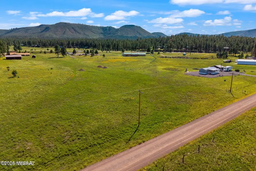 18 County Road 2092, Alpine, AZ 85920 - #2