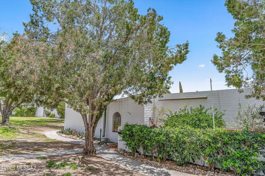 629 W Las Lomitas, Tucson, AZ 85704 - #2