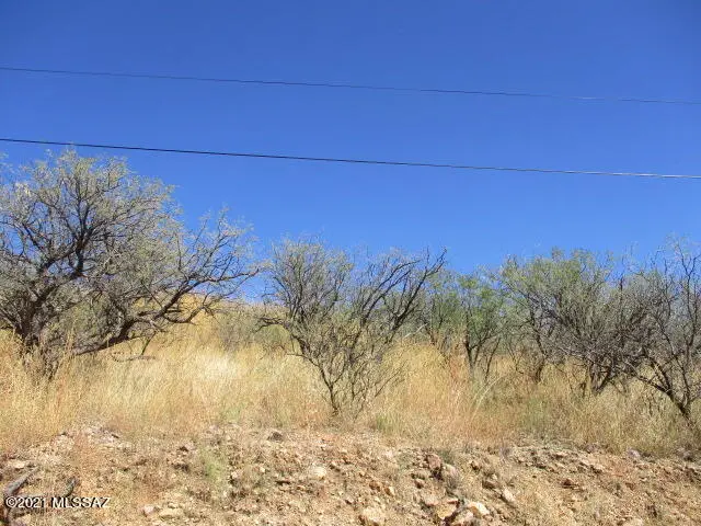967 Corte Arboles, Rio Rico, AZ 85648 - #1