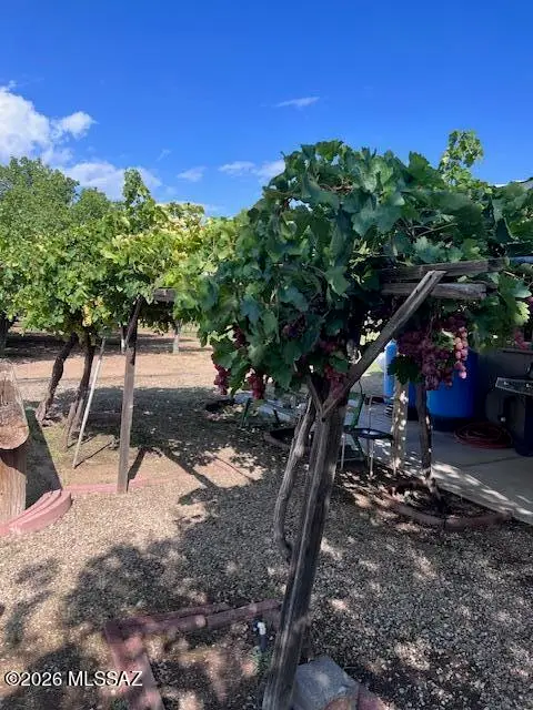 6044 W High Desert, Willcox, AZ 85643 - #2