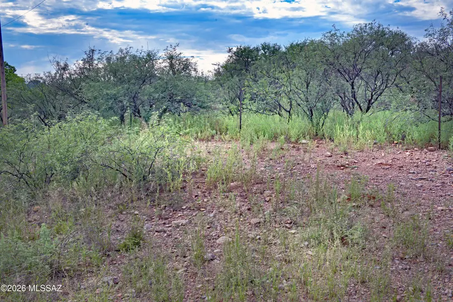TBD Lenon, Patagonia, AZ 85624 - #3
