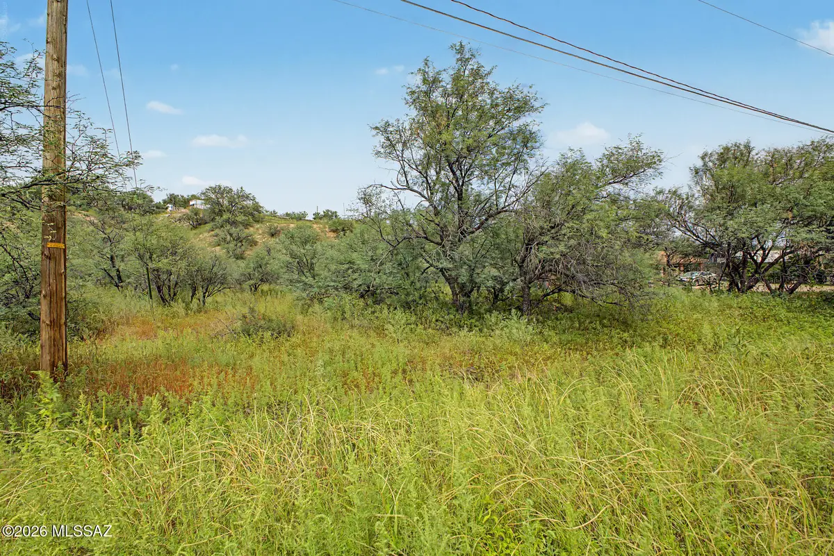 1065 Circulo Golondrina Rio, Rio Rico, AZ 85648 - #1