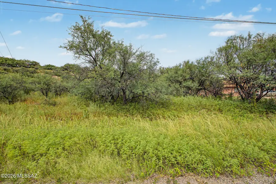 1065 Circulo Golondrina Rio, Rio Rico, AZ 85648 - #2