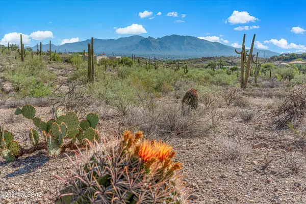 5810 N Abington, Tucson, AZ 85743