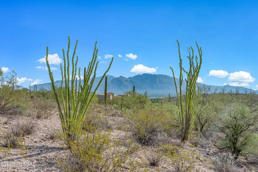 5810 N Abington, Tucson, AZ 85743 - #3