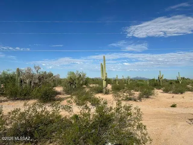 30.74 Acre N Sandario, Tucson, AZ 85743 - #2