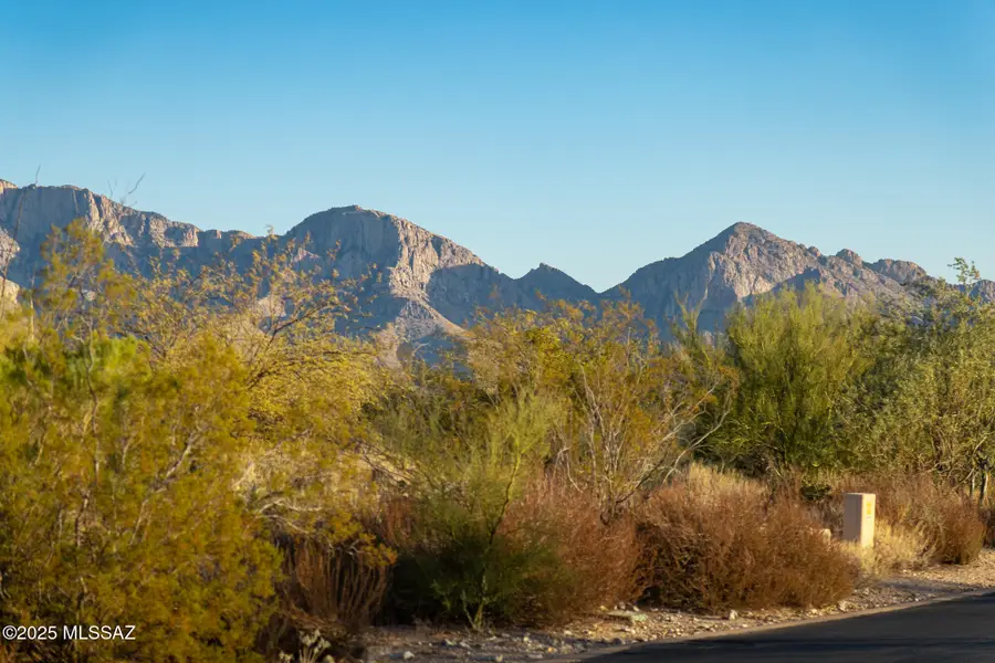 14191 N Giant Saguaro, Oro Valley, AZ 85755 - #2