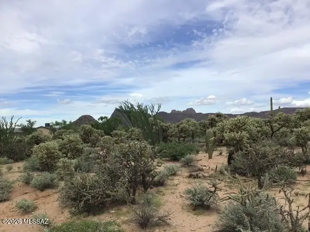 10302 W Rudasill, Tucson, AZ 85743 - #2
