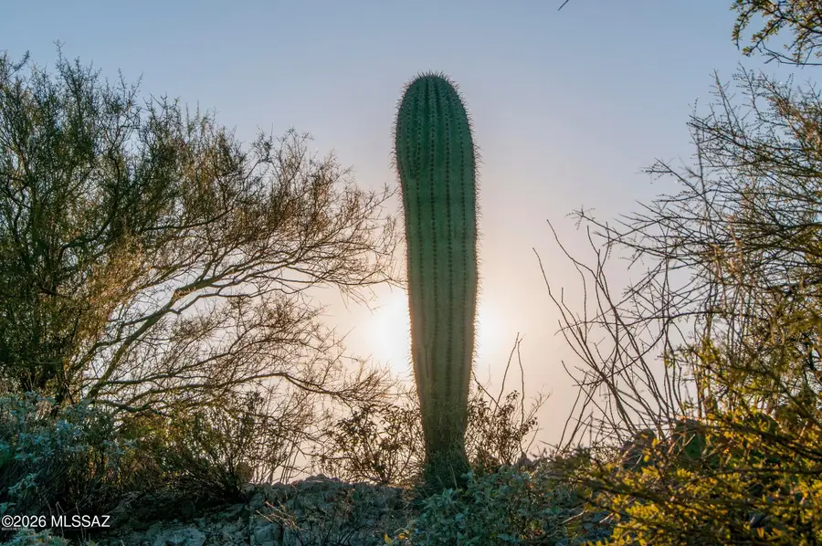 977 S Bill Martin, Tucson, AZ 85745 - #3