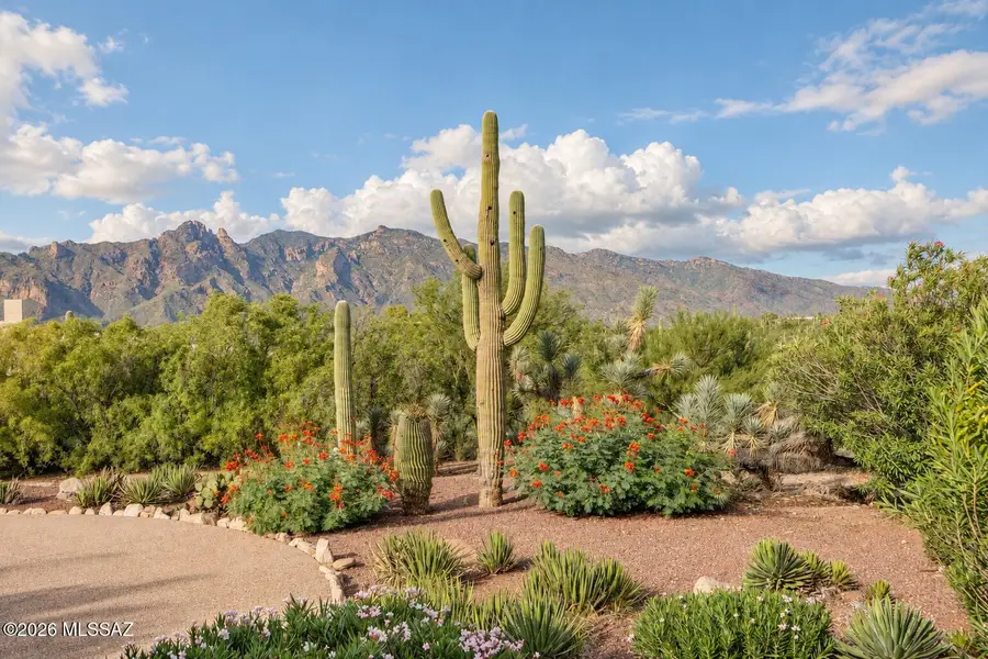 5420 N Campbell, Tucson, AZ 85718 - #2
