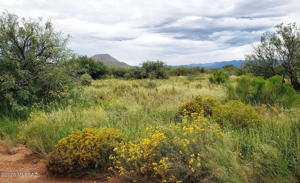 2.53 AC E Rucker Canyon, Elfrida, AZ 85610 - #1