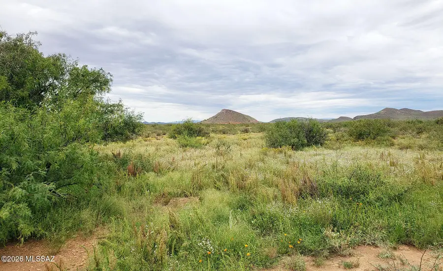 5.23 AC E Rucker Canyon, Elfrida, AZ 85610 - #2