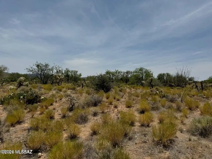 14707 W Crestwood, Tucson, AZ 85736 - #1