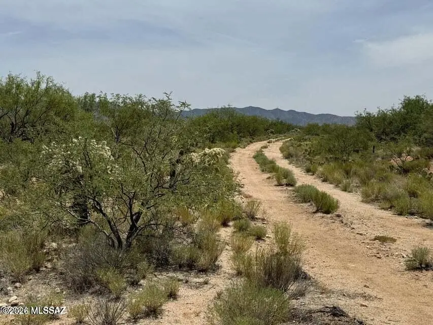 14823 S Carlsburg, Tucson, AZ 85736 - #2