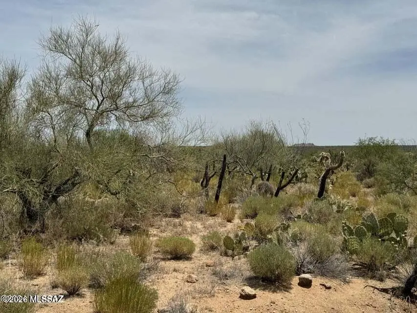14823 S Carlsburg, Tucson, AZ 85736 - #3