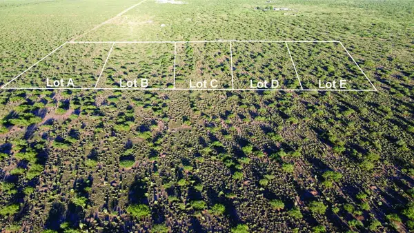 4.02 Acres E Bumble Bee, Pearce, AZ 85625