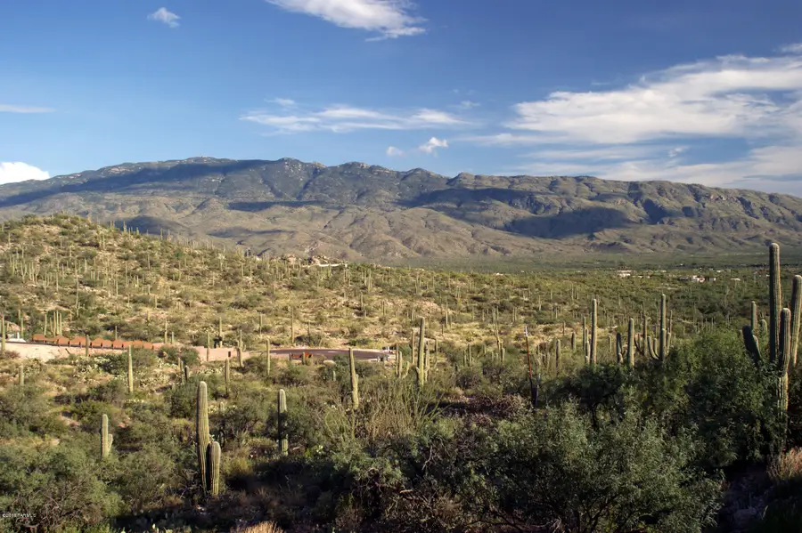 3061 N Placita De Nazca, Tucson, AZ 85749 - #2