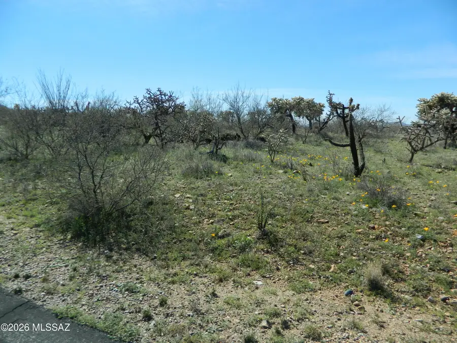 422 E Corte Artura Azul, Green Valley, AZ 85614 - #3
