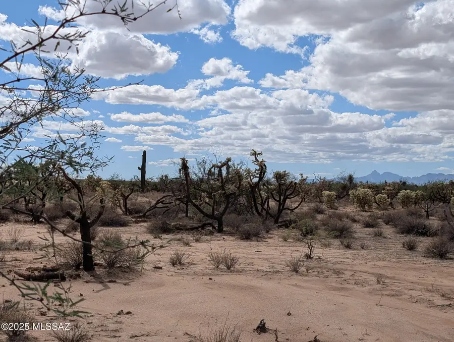 TBD S Antique, Tucson, AZ 85735 - #2
