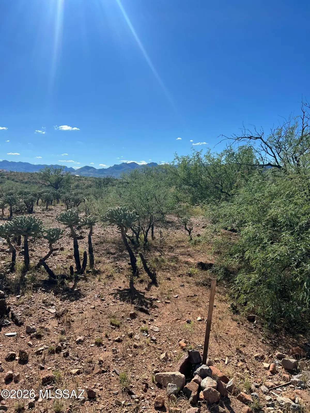 350 Morsa, Rio Rico, AZ 85648 - #1