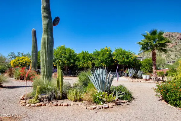 6605 N Dimitri, Tucson, AZ 85743