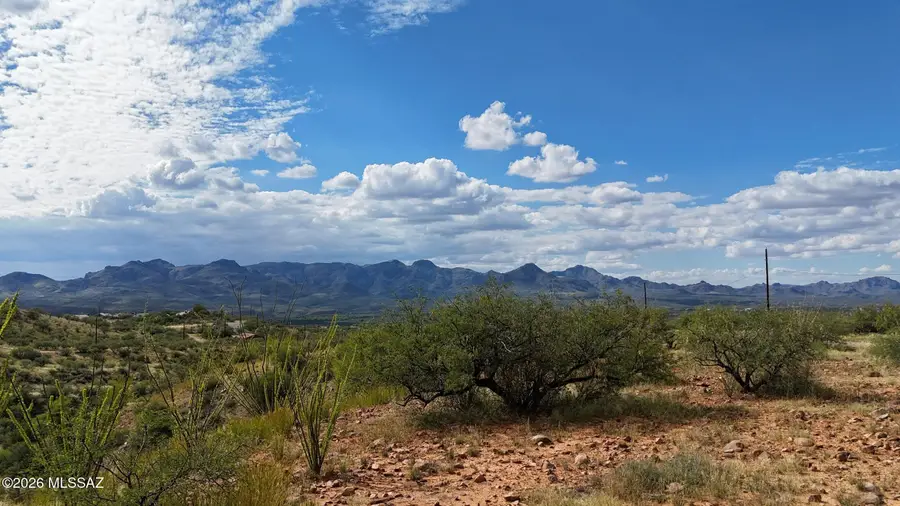 1681 Avenida Calamar, Rio Rico, AZ 85648 - #3