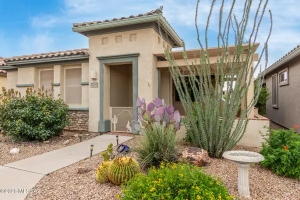 10262 S White Surrey, Vail, AZ 85641